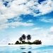 palm-trees-island-beach_1875449270