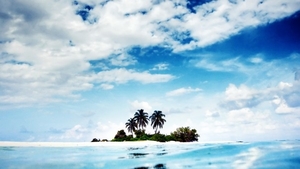 palm-trees-island-beach_1875449270