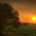 sunset-field_1938196229