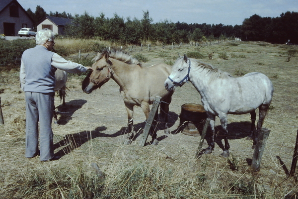 opa bij de ponies