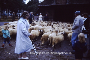 Tiny bij de Schaapskooi in Ruinen