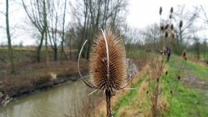 20160220_104621