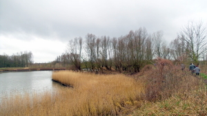 20160220_110123