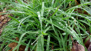 20160220_111304