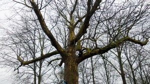 20160220_115719