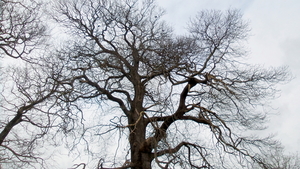 20160220_120405