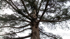 20160220_120536