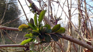 P1410531