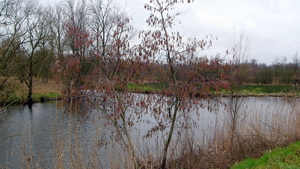 P1410535
