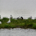P1410560