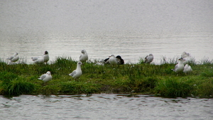 P1410560