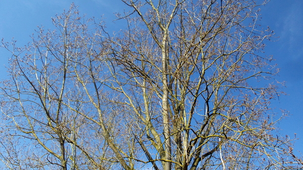 20160326_100855