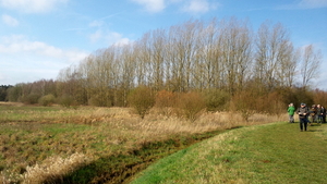 20160326_104212