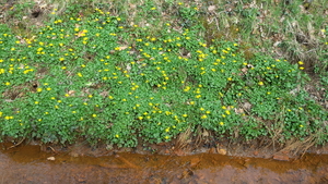 20160326_122806