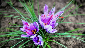 20160326_145034
