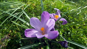 20160326_152517