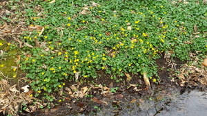 20160402_164843