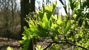 P1410677