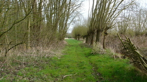 P1410690