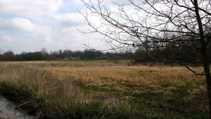 P1410692