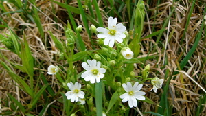 P1410696