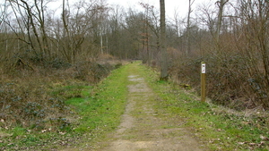 P1410706