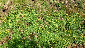 P1410714