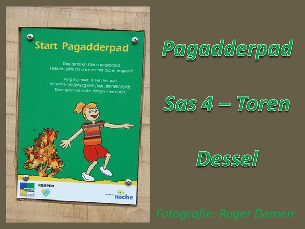 Pagadderpad