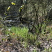48 r19