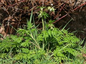 57 r27