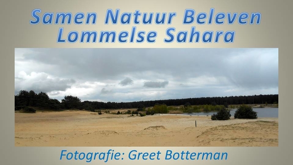 2016-04-23 LOMMELSE SAHARA