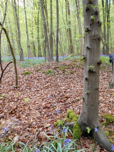 DSCN0559