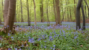 DSCN0560