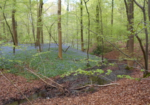 DSCN0564