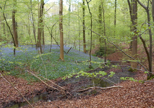 DSCN0564