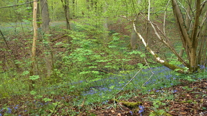 DSCN0575