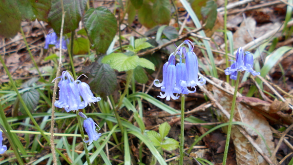 DSCN0576