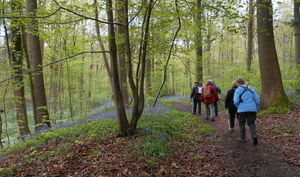 DSCN0584