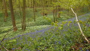 DSCN0585