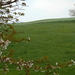 DSCN0602