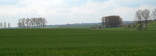 DSCN0605