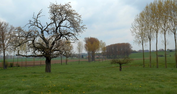 DSCN0609
