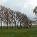 DSCN0610