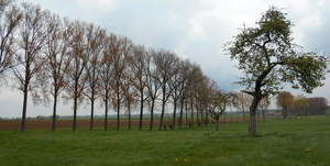 DSCN0610