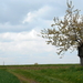 DSCN0620
