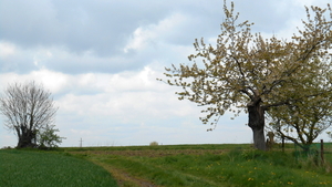 DSCN0620
