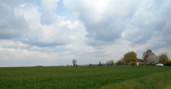 DSCN0622