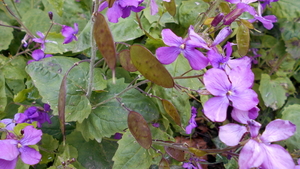 DSCN0629