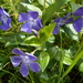 DSCN0630