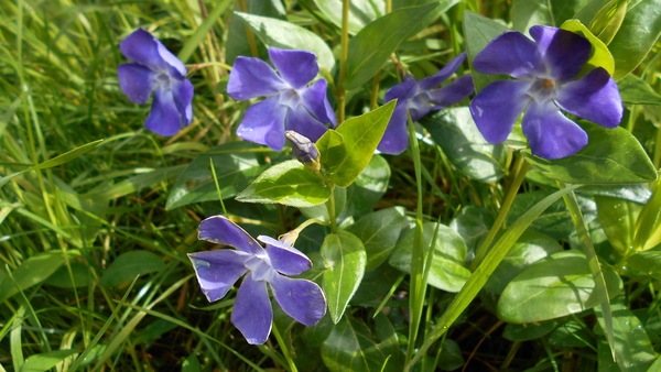 DSCN0630